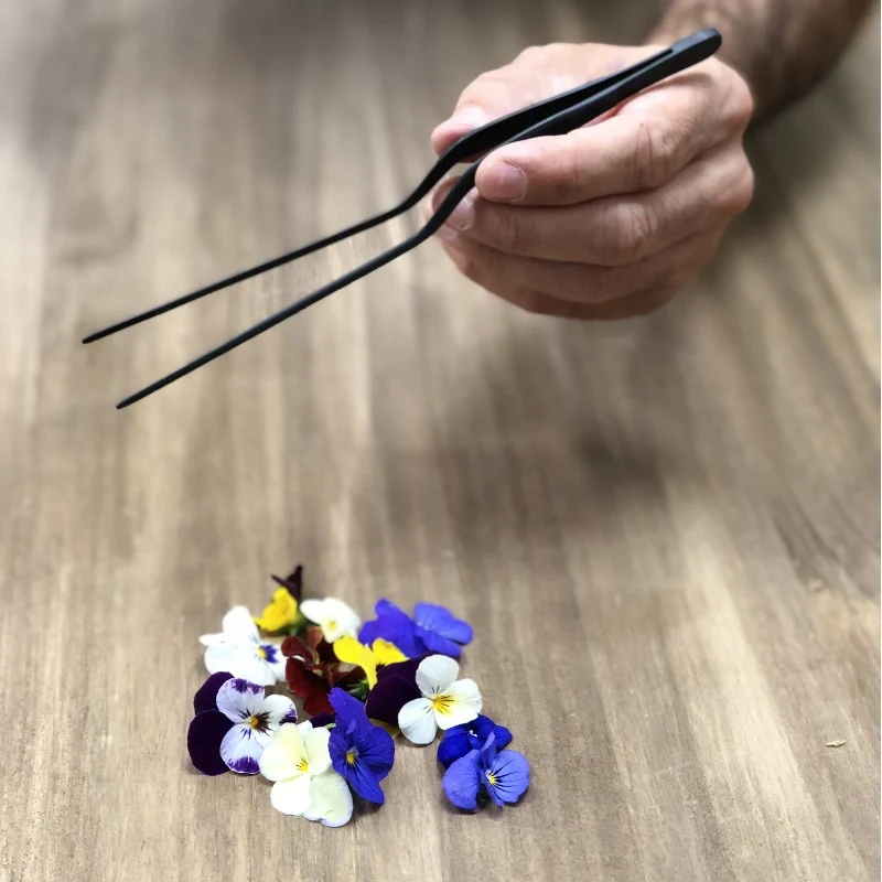 Pinza para emplatar Negra