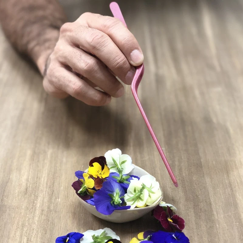 Pinza de Emplatar Profesional Rosa Mate 20cm | Acero Inoxidable