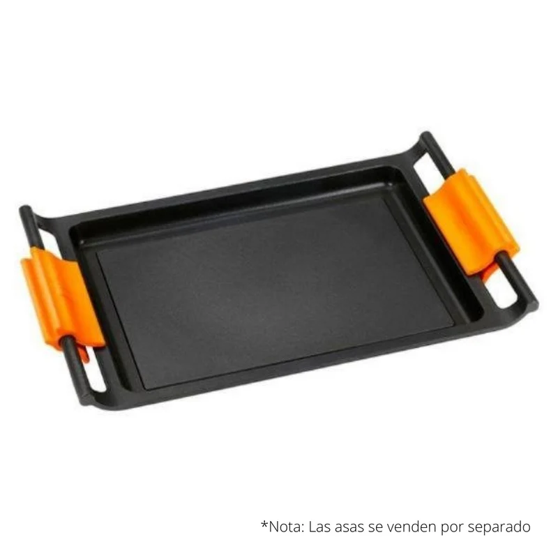 Plancha lisa Efficient