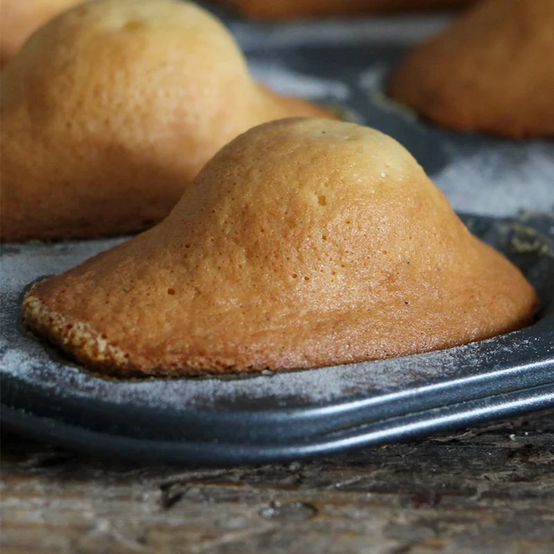 Molde para madeleines De Buyer