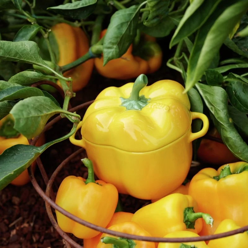 Mini cocotte cerámica hortalizas Staub