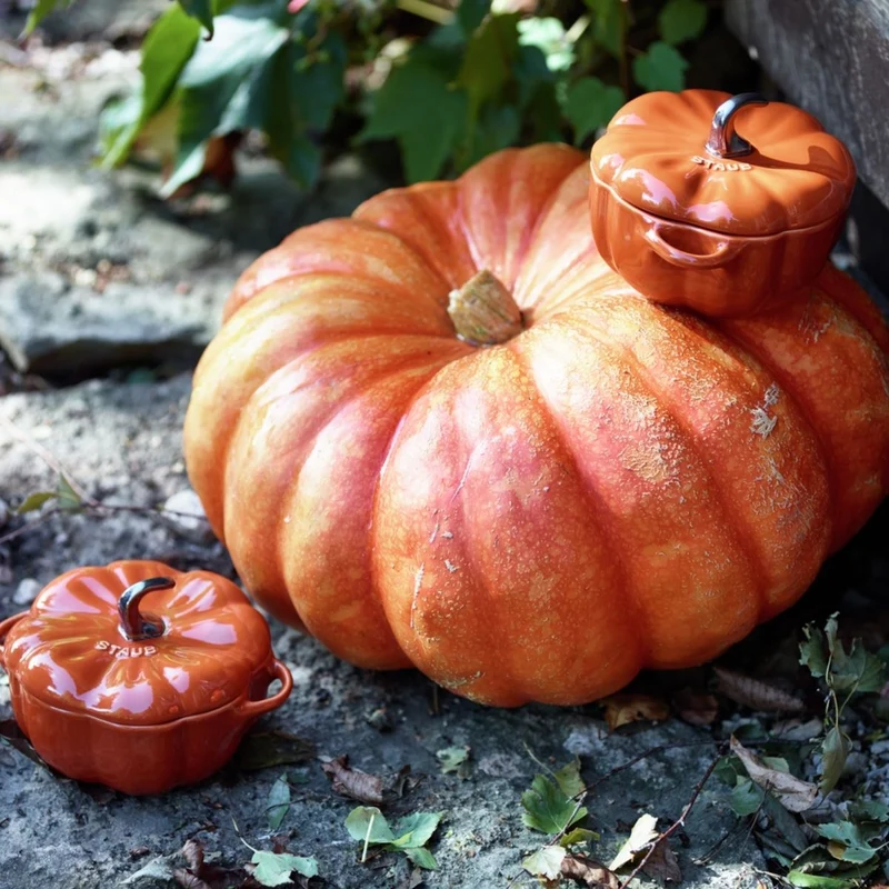 Mini cocotte cerámica hortalizas Staub