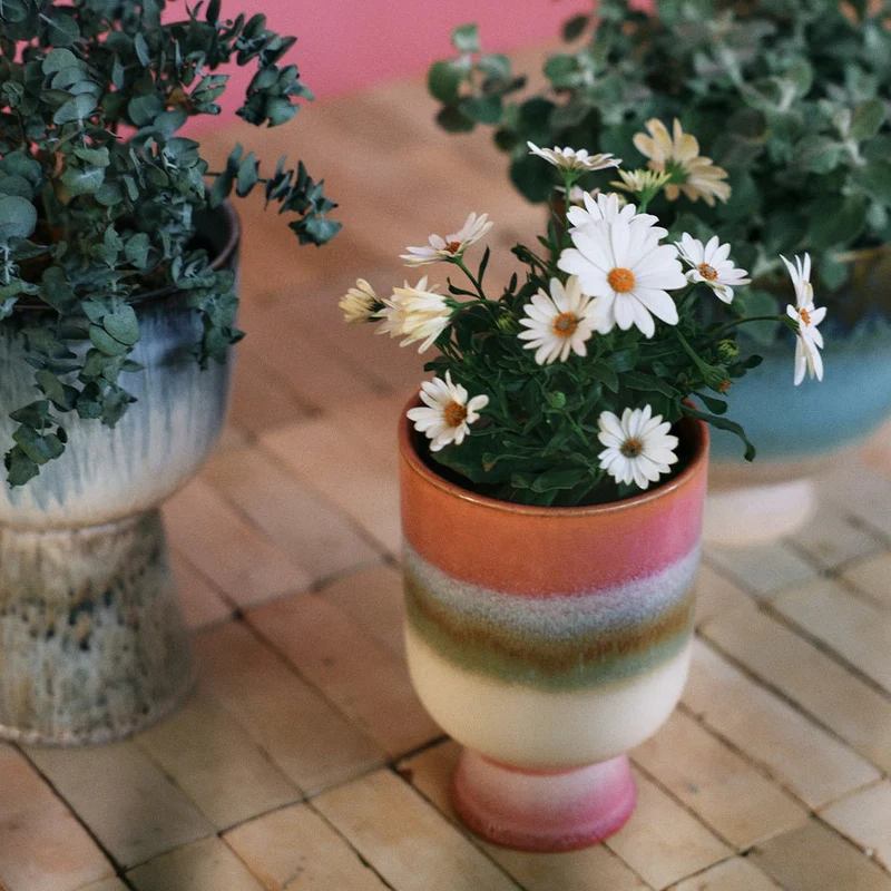 Retro Flower Pot - Rosefield