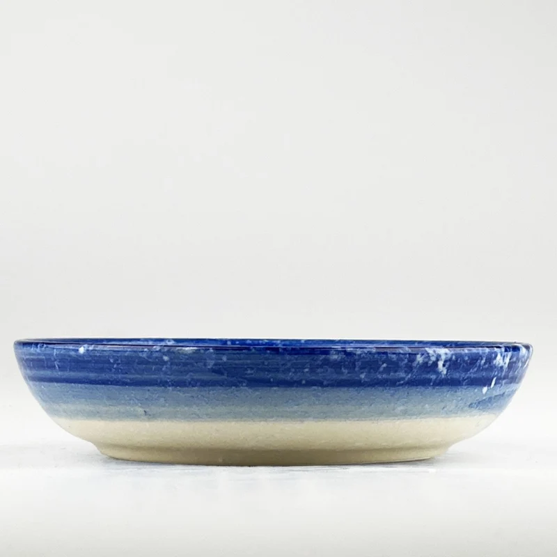 Bol o plato hondo cerámico para servir Selbrae
