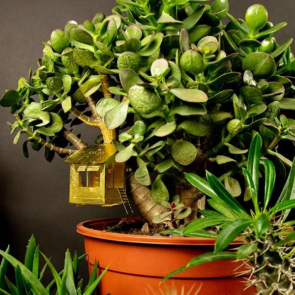 Pequeña Casa En El Árbol Para Tus Plantas