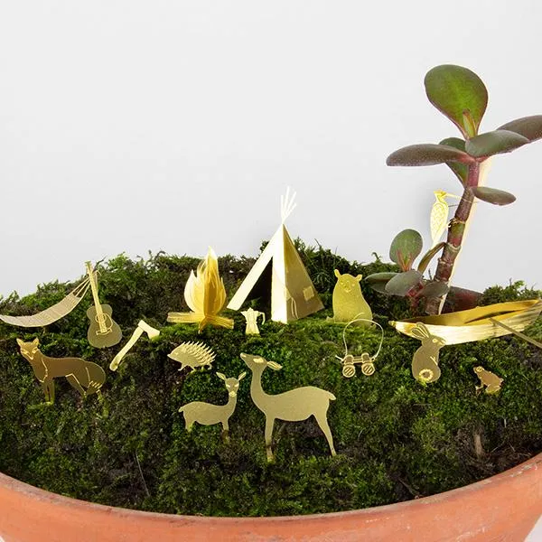 Pequeño Camping Para Tus Plantas