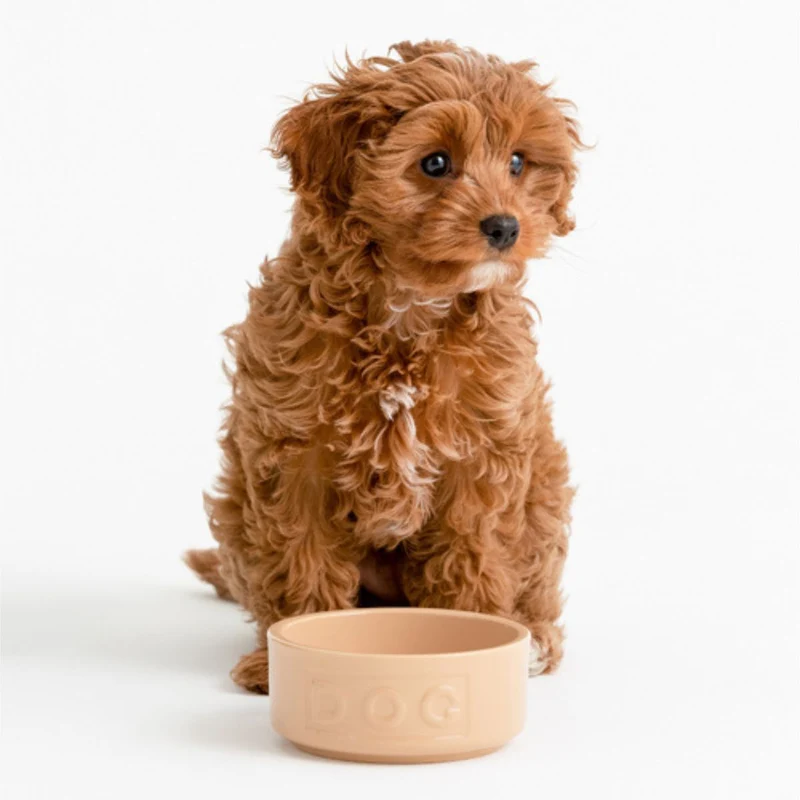Bol cerámico para perros y mascotas Mason Cash
