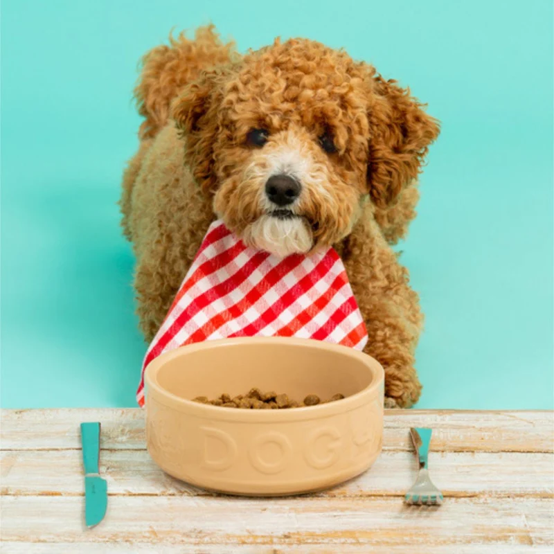 Bol cerámico para perros y mascotas Mason Cash