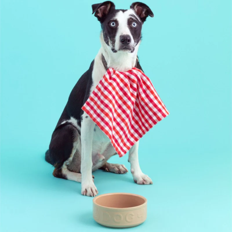 Bol cerámico para perros y mascotas Mason Cash
