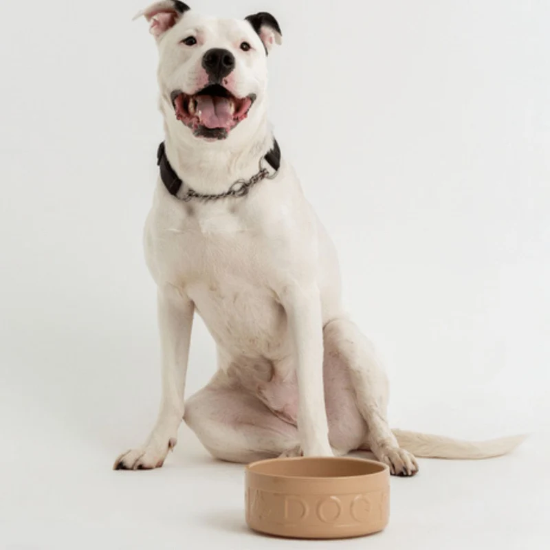 Bol cerámico para perros y mascotas Mason Cash