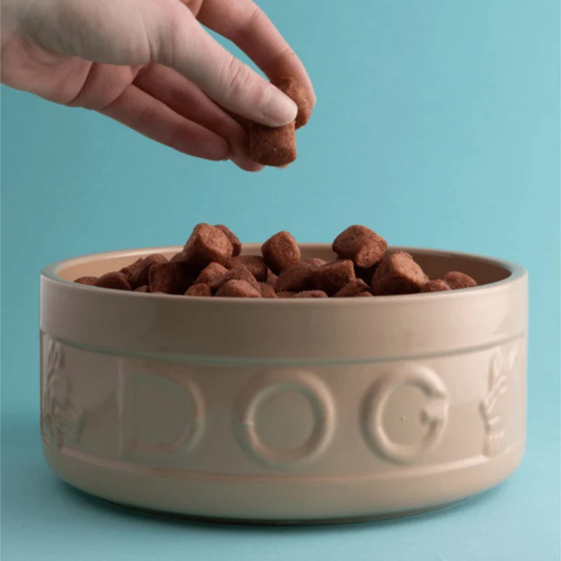 Bol cerámico para perros y mascotas Mason Cash