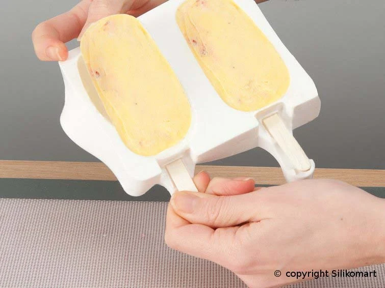 SET 2 MOLDES HELADO ICECREAM CLASSIC SET GEL01