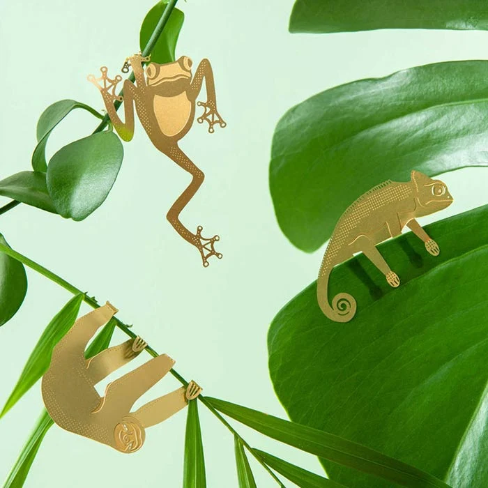 Animal para Plantas Rana de Árbol