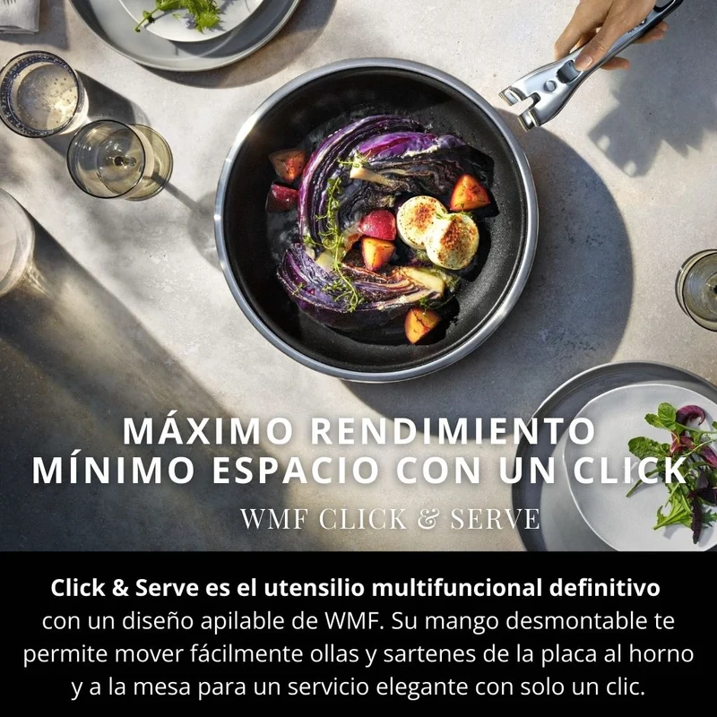 Sartén de acero inoxidable (sin mango) Click & Serve WMF