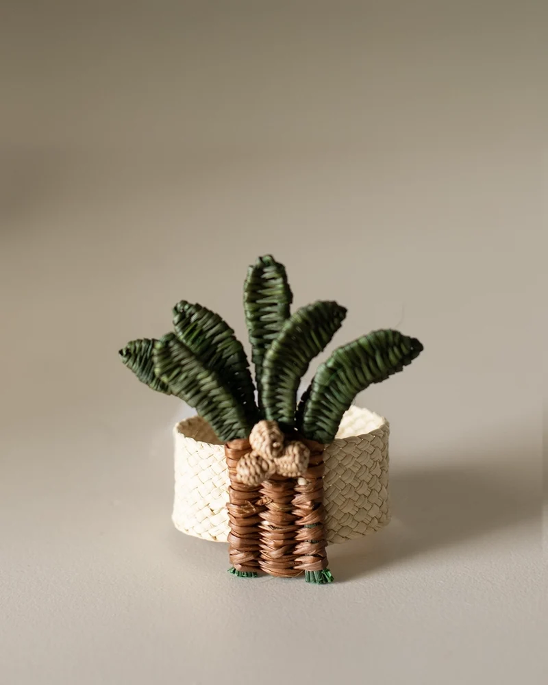 SERVILLETERO PALM