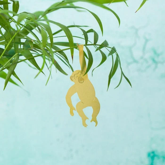 Animal para Plantas Chimpancé
