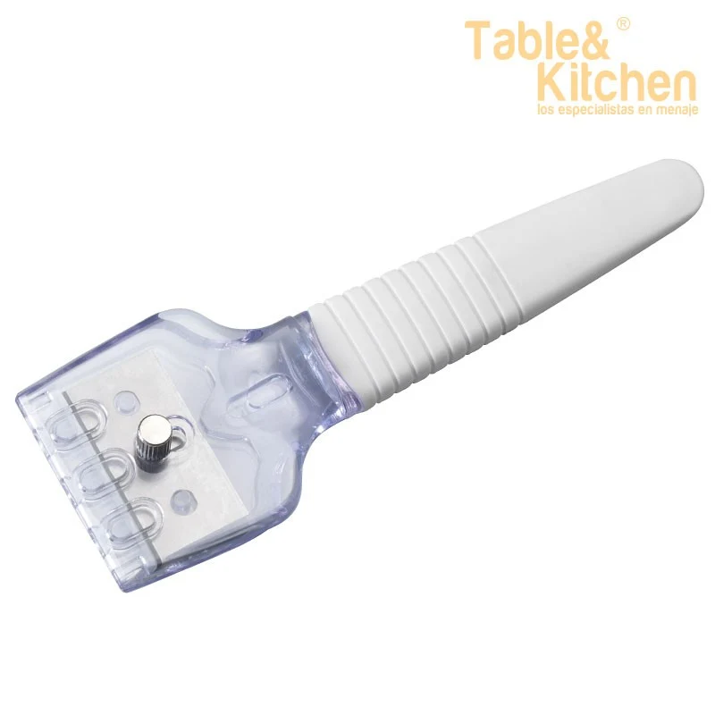 RASPADOR-LIMPIADOR VITRO EXPERT