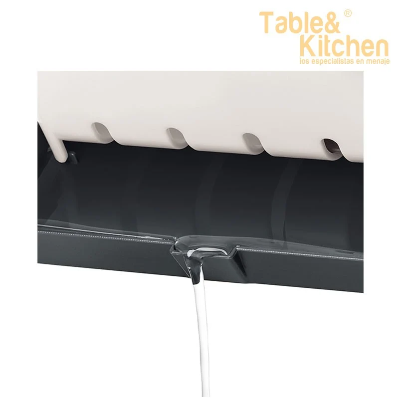 ORGANIZADOR PARA FREGADERO BASIC
