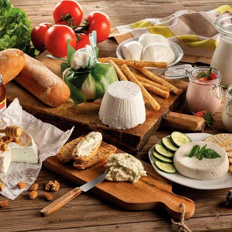 Máquina para hacer queso y yogur Ariete