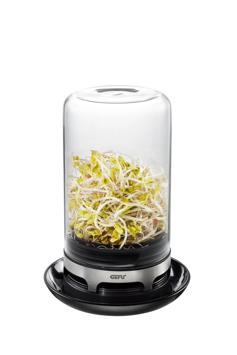 GERMINADOR DE CRISTAL BIVITA