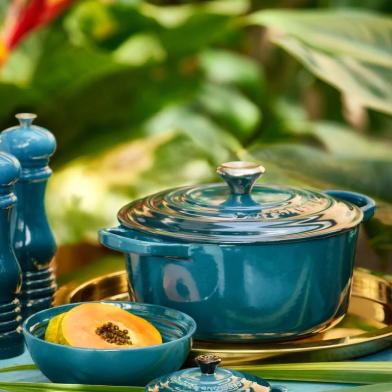 Cocotte Redonda Evolution Le Creuset de 18 a 34 cm