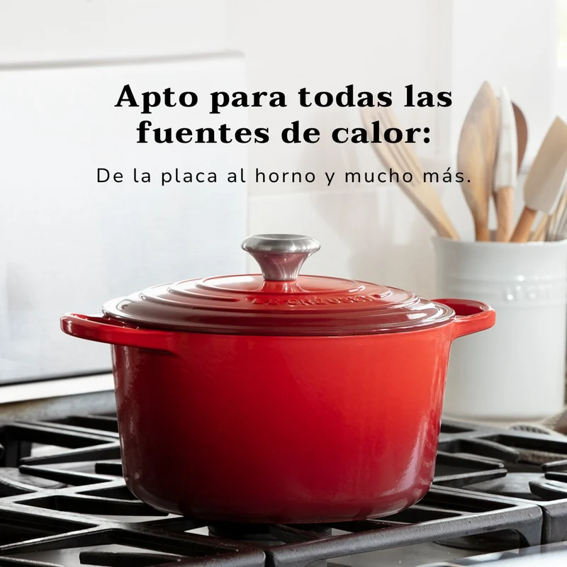 Molde de hierro fundido rectangular Le Creuset