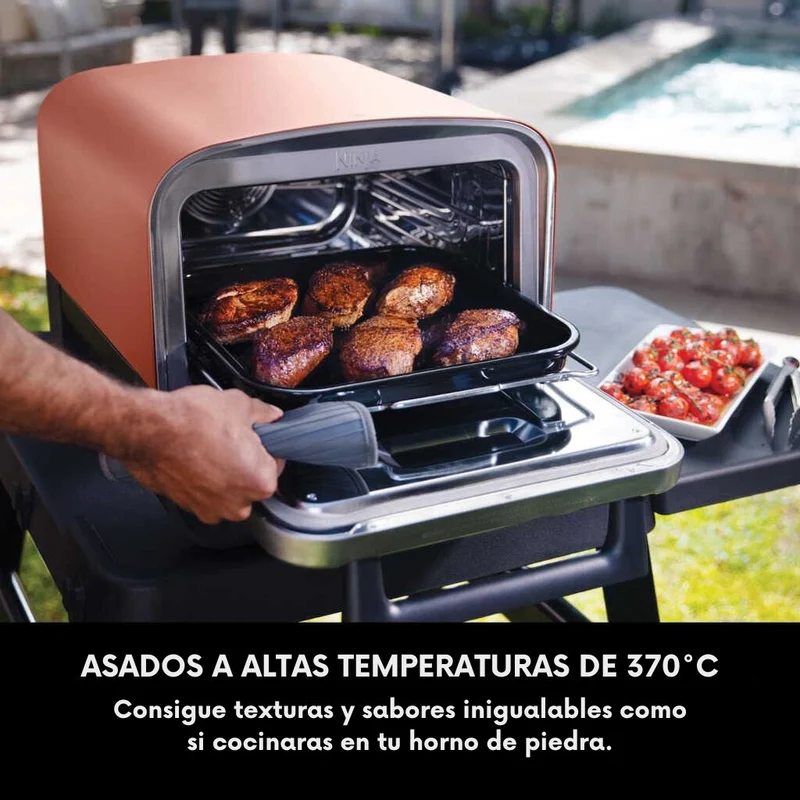 Horno eléctrico exterior de pellet Woodfire Ninja®