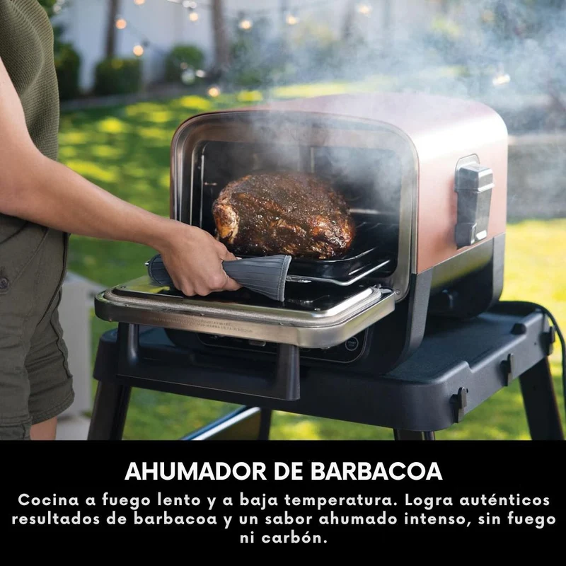 Horno eléctrico exterior de pellet Woodfire Ninja®