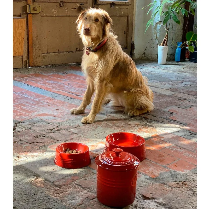 Bol cerámico para mascotas Le Creuset