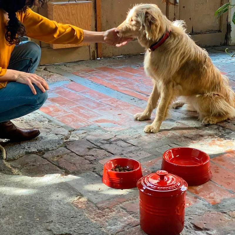 Bol cerámico para mascotas Le Creuset