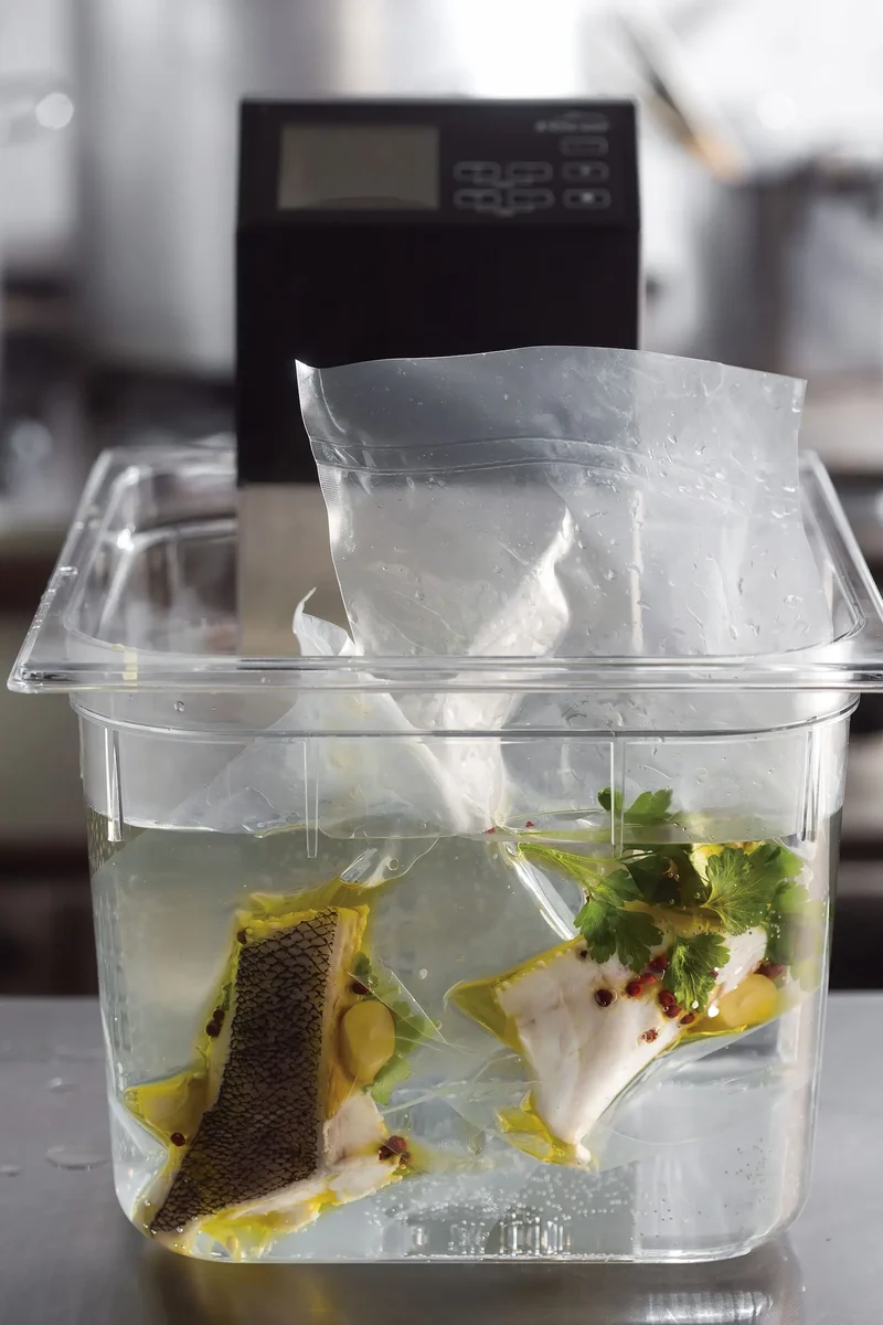 COCEDOR A BAJA TEMPERATURA PORTATIL SOUS VIDE