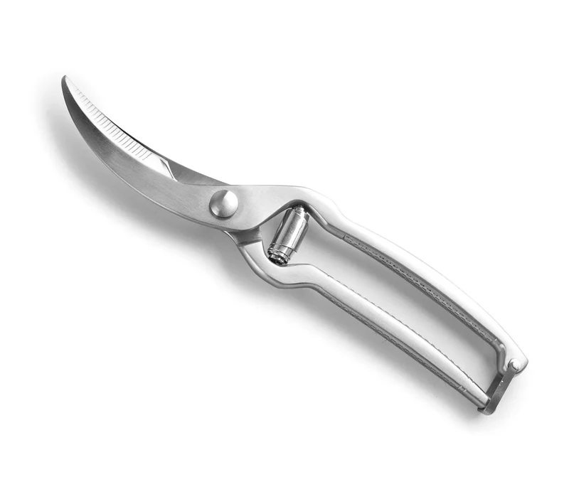 LACOR Tijeras para aves Inox 60066