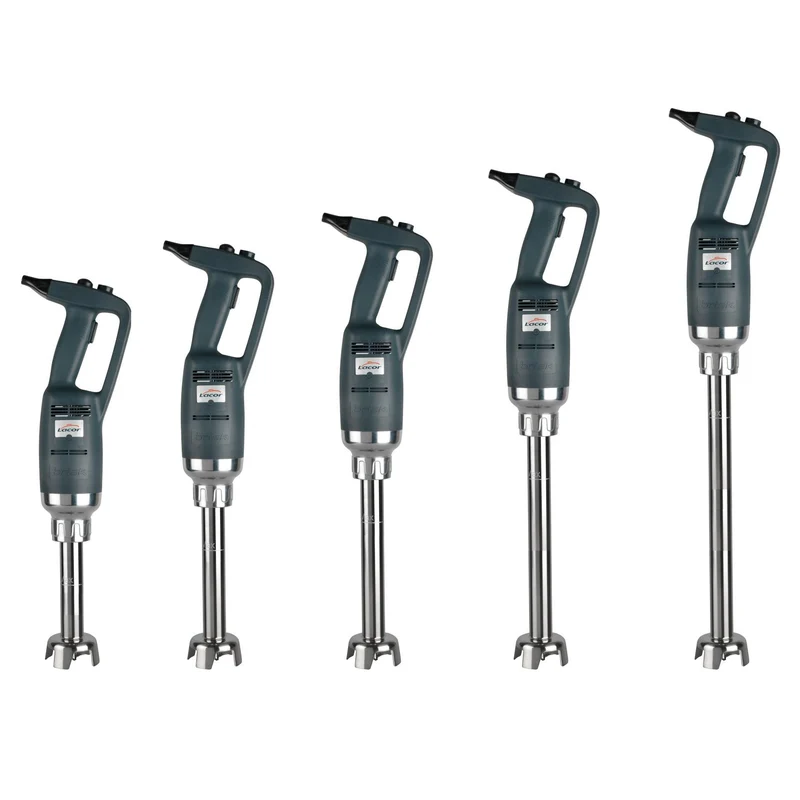 LACOR Batidora profesional Brisk Variable (Serie 350) 69771