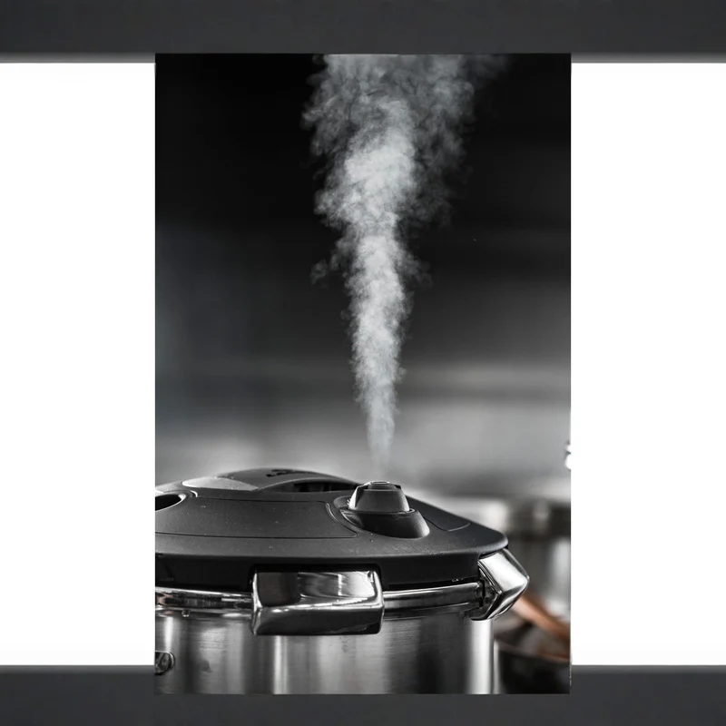LACOR Olla a presión Chef-Luxe 50815